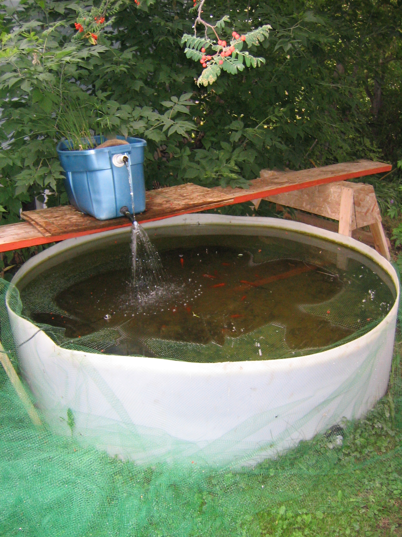 free standing pond idea. - Ponds (indoor-outdoor) - AlbertaAquatica